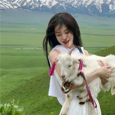 盘龙卧虎高山顶海报